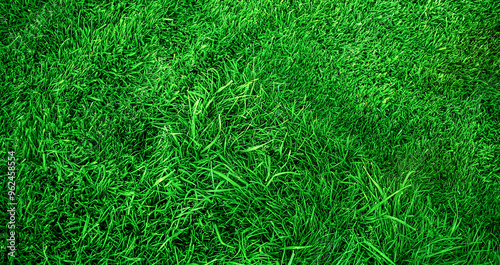 Lawn grass is longer and shorter green as a background. Lawn light and shadow web size photo