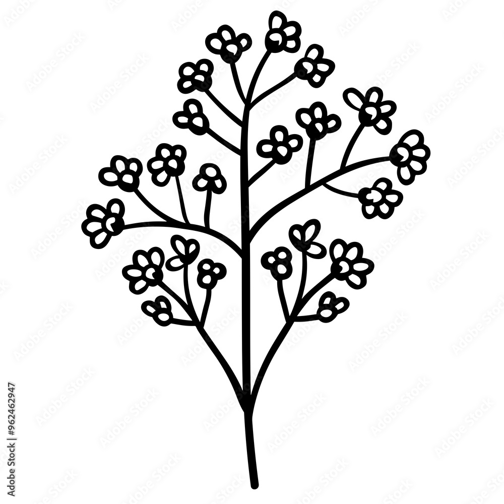 A clean line drawing showcases a Sedum plant with multiple branches and floral clusters, presenting a minimalist interpretation of this botanical subject A clean line drawing showcases a Sedum plant with multiple branches and floral clusters, presenting a minimalist interpretation of this botanical subject