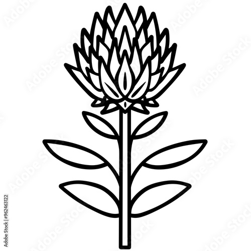 This vector illustration features a thistle flower with intricate line details and leaves, making it ideal for graphic design and botanical themes
