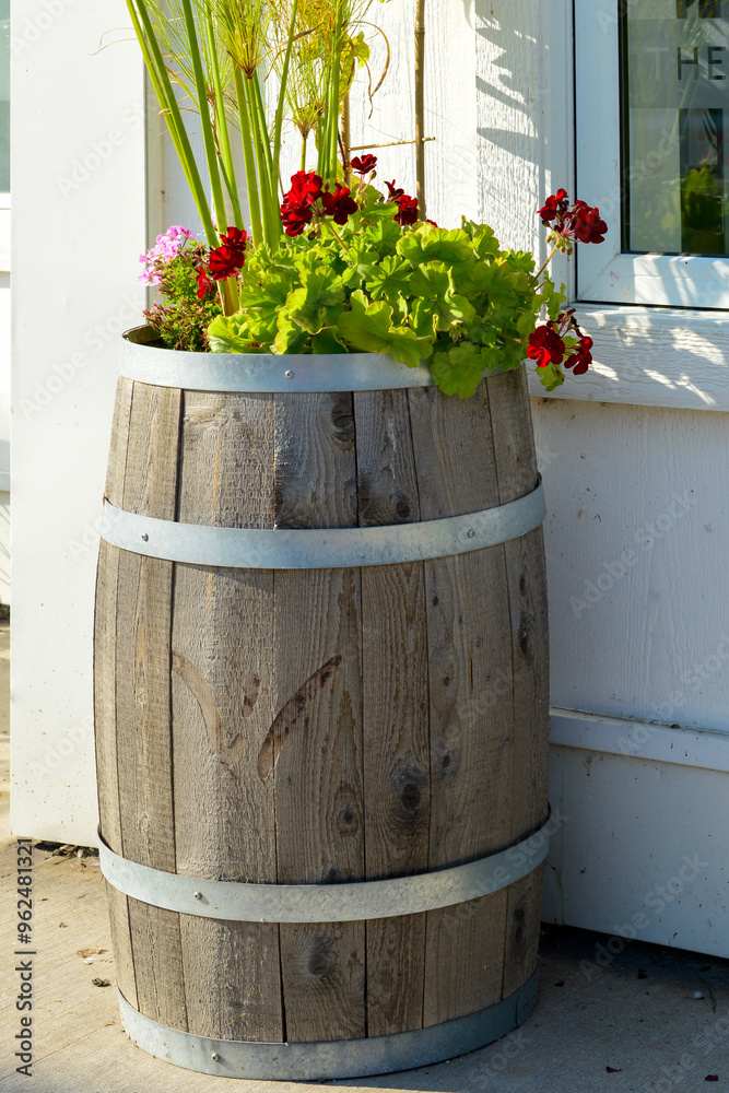 A large wooden barrel used as a planter with red and pink flowers and lush green greenery. There are four round metal bands.The outdoor arrangement is next to a white exterior wall with a glass window A large wooden barrel used as a planter with red and pink flowers and lush green greenery. There are four round metal bands.The outdoor arrangement is next to a white exterior wall with a glass window