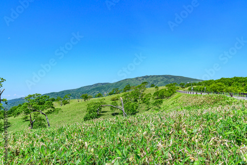 爽快 北海道 藻琴山展望台 