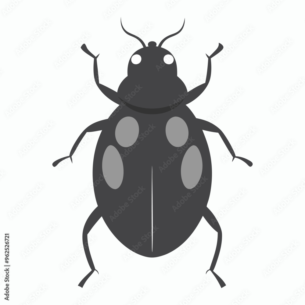vector ash grey lady beetle vector art walking view vector ash grey lady beetle vector art walking view