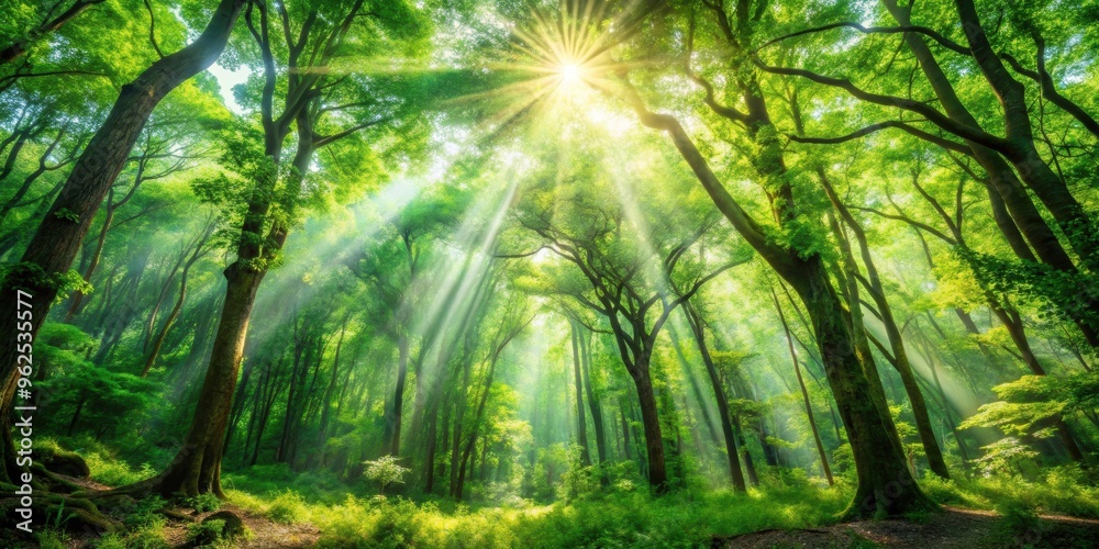 Obraz premium Fantastic forest background with lush green trees, vibrant foliage, and sparkling sunlight filtering through the canopy
