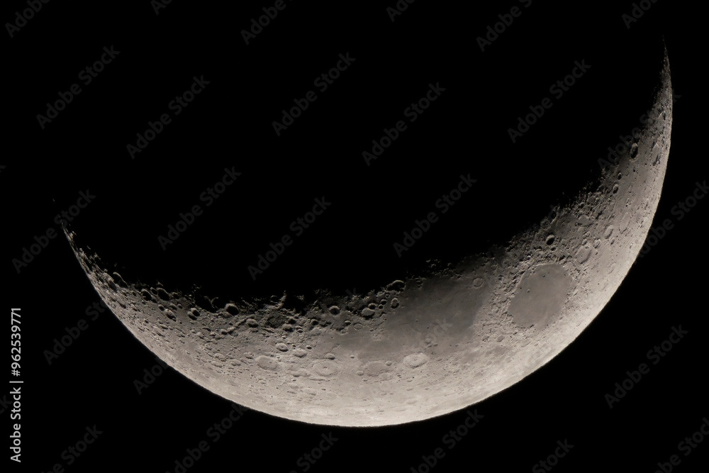 Naklejka premium moon in the night