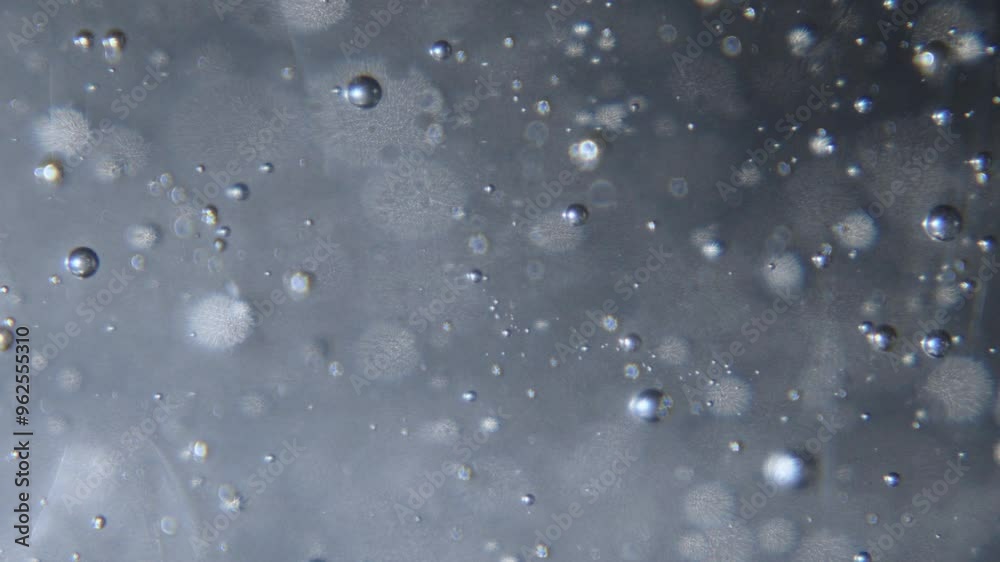 bubbles rising in slow motion with