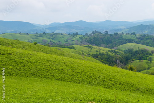 Hills Landscape Background