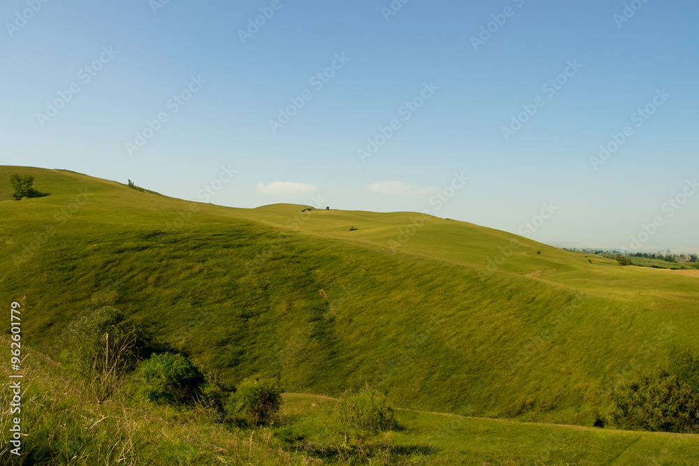 Obraz premium Hills Landscape Background
