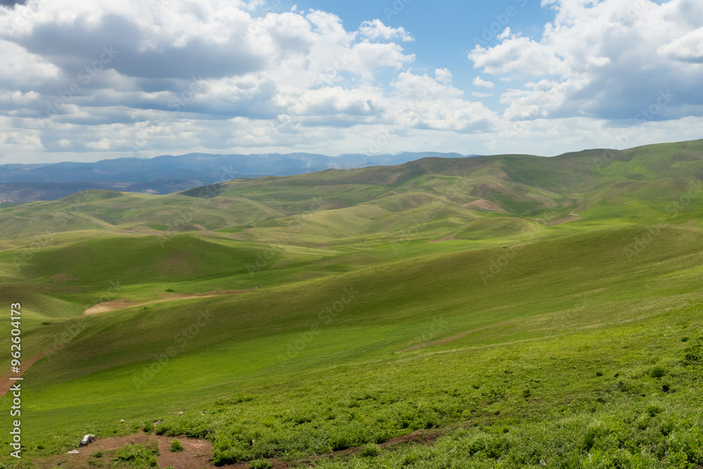 Naklejka premium Hills Landscape Background