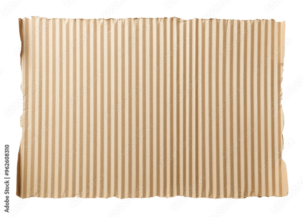 Fototapeta premium Piece of cardboard isolated on transparent background