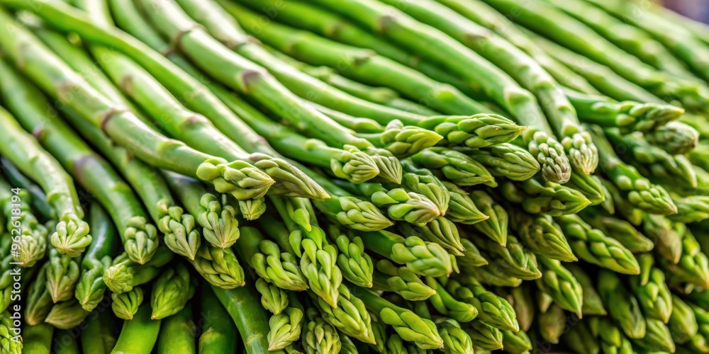 Close-up photograph of a bunch of fresh asparagus beans, asparagus, beans, green, fresh, produce, vegetable, healthy Close-up photograph of a bunch of fresh asparagus beans, asparagus, beans, green, fresh, produce, vegetable, healthy