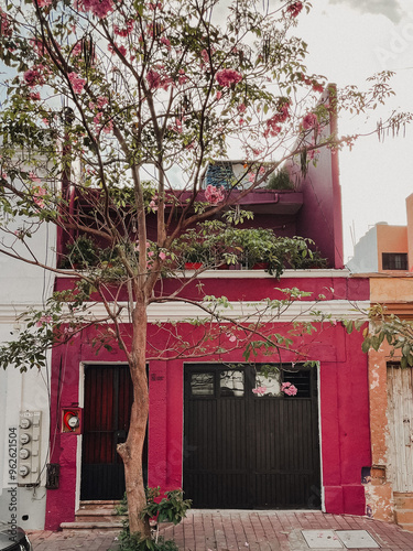Floral Tree and Pink House in Mexico