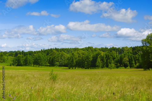 Meadow Landscape Background