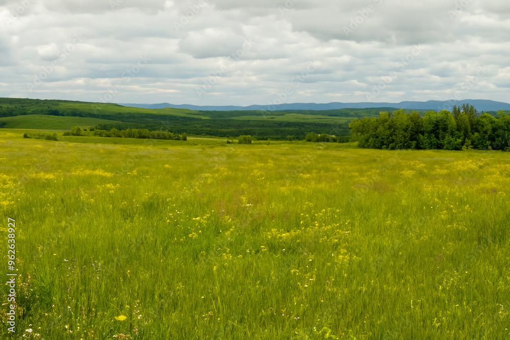 Fototapeta premium Meadow Landscape Background