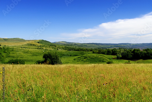 Meadow Landscape Background