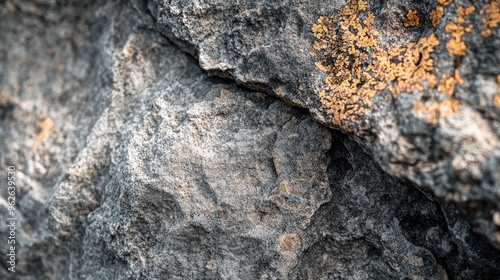 A close-up of textured rock with orange lichen.