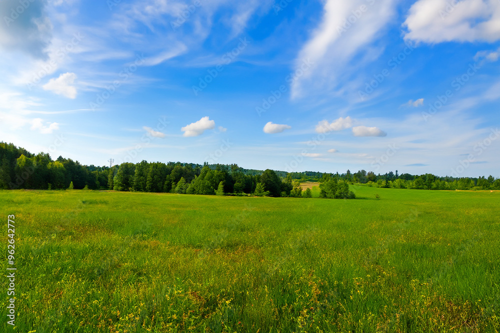 Obraz premium Meadow Landscape Background