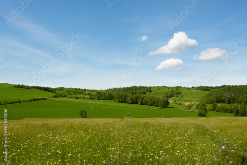 Meadow Landscape Background