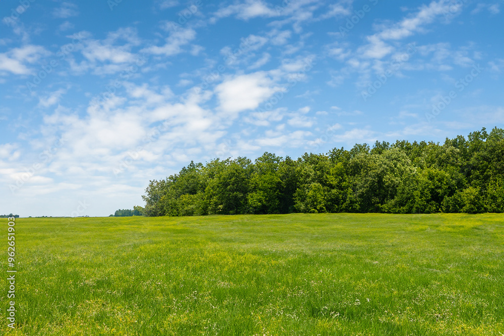 Obraz premium Meadow Landscape Background