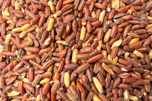 A Close up view of red rice grains, showcasing a rich reddish-brown hue interspersed with lighter-colored grains.