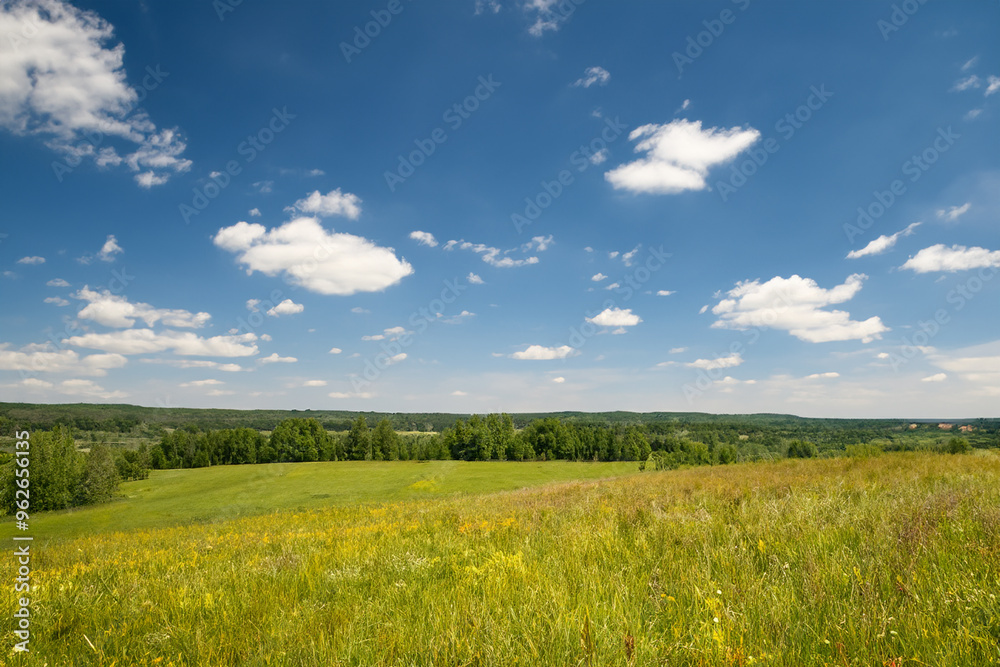 Meadow Landscape Background Meadow Landscape Background