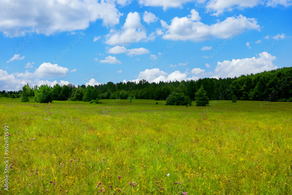 Meadow Landscape Background