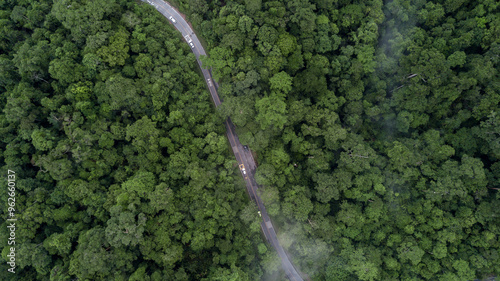 Aerial view car drive in green tree forest road winding road through the forest, Car drive on asphalt road between green tree forest, Electric vehicle EV car drive on asphalt road green tree forest.