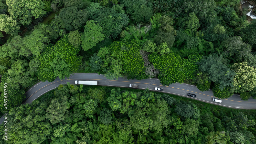 Aerial view semi truck with cargo trailer on road curve with green tree forest, Transportation logistic cargo background, Semi truck trailer on asphalt forest road in green tree forest.