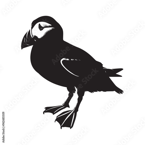 Fratercula arctica Silhouette – Atlantic Puffin Vector Illustration in black and white