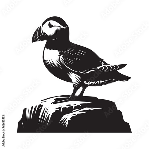 Black and White Atlantic Puffin Vector - Fratercula arctica Clipart Illustration in black and white