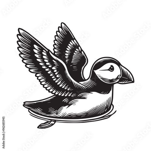 Fratercula arctica Vector Art - Atlantic Puffin Silhouette Design
