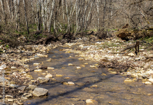 shallow mountain river, staritsa and nature walks, spring day photo