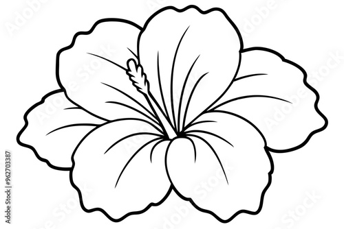 hibiscus line art, hibiscus flower line art vector illustration, hibiscus flower Svg
