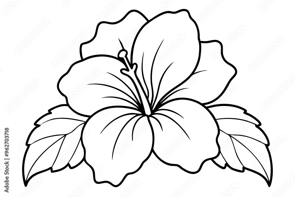 hibiscus line art, hibiscus flower line art vector illustration