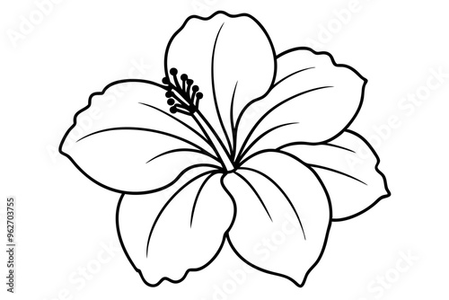 hibiscus line art, hibiscus flower line art vector illustration, hibiscus flower Svg
