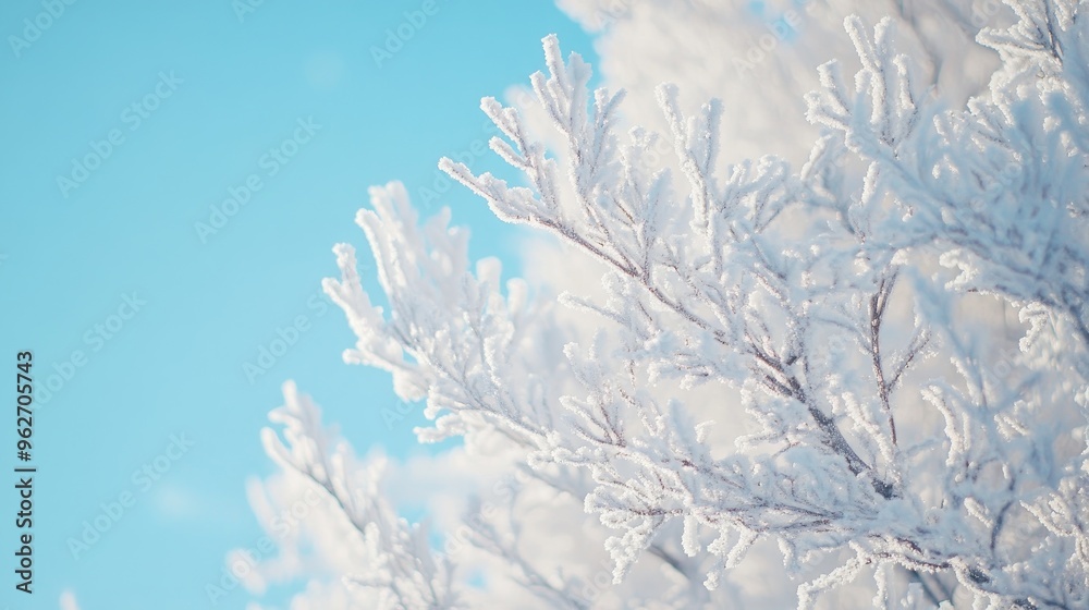 Frost-covered branches against a bright blue sky, evoking a serene winter atmosphere. Frost-covered branches against a bright blue sky, evoking a serene winter atmosphere.