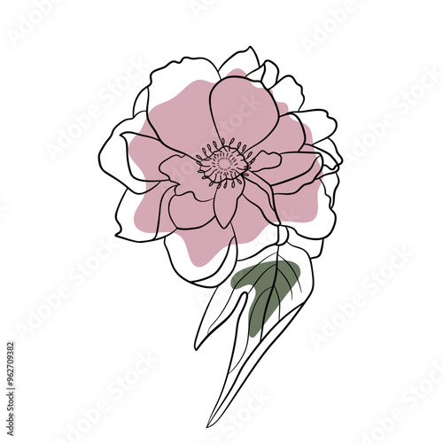Contour peony flower. Vector isolated minimalistic flower