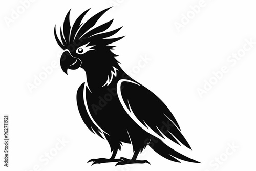 Cockatiel silhouette vector illustration, Cockatoo bird