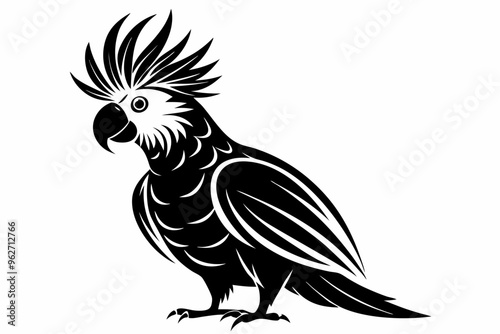 Cockatiel silhouette vector illustration