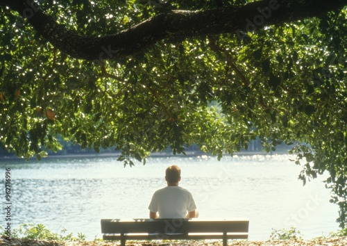 Serene Outdoor Relaxation Man Sitting on Bench by the Lake Under Shade of Tree – Peaceful Nature Scene