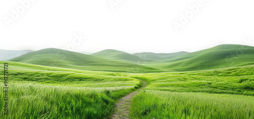 daytime green grass field landscape with pathway on transparent background