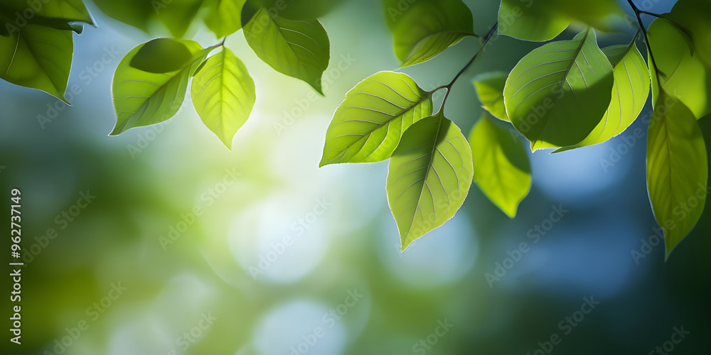 green leaves background green leaves background