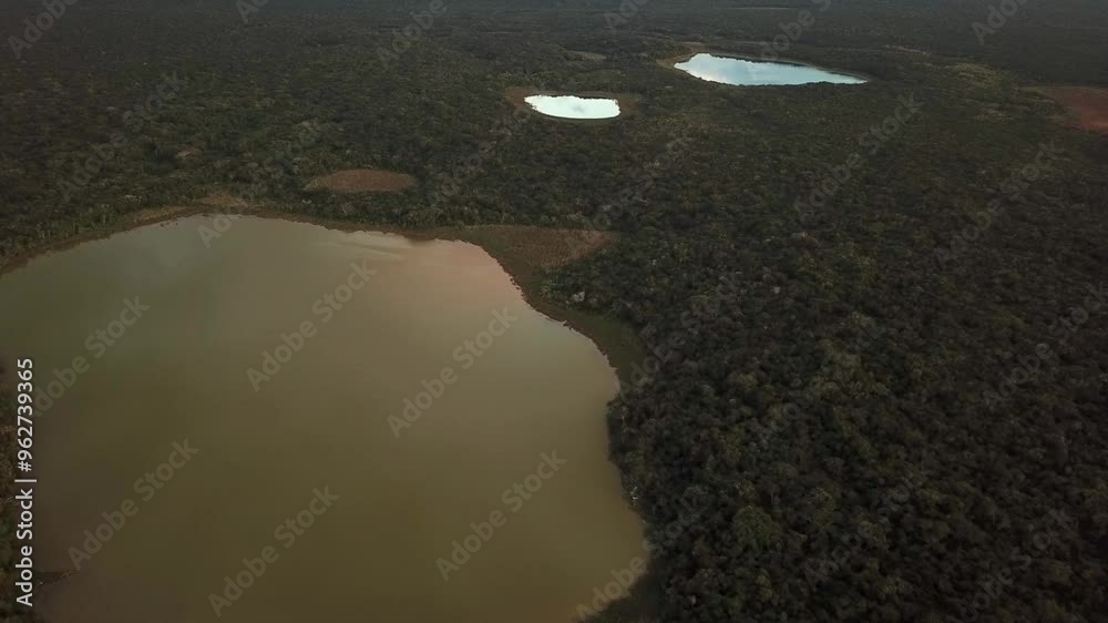 Aerial view of Lagoons and jungle in Coba, Tulum, RIviera Maya, Mexico Aerial view of Lagoons and jungle in Coba, Tulum, RIviera Maya, Mexico
