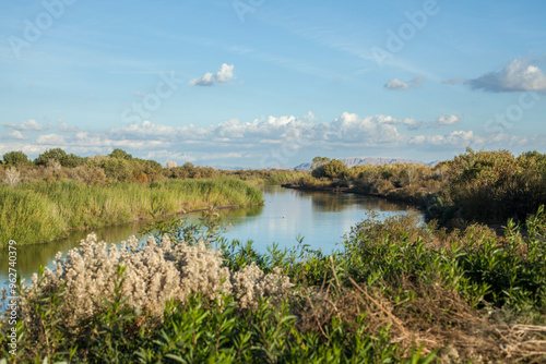 Lower Colorado wetlands Yuma, AZ
