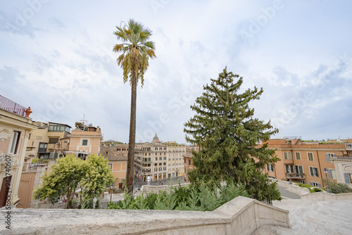 City view from the Spanish steps with a palm tree in Rome Italy