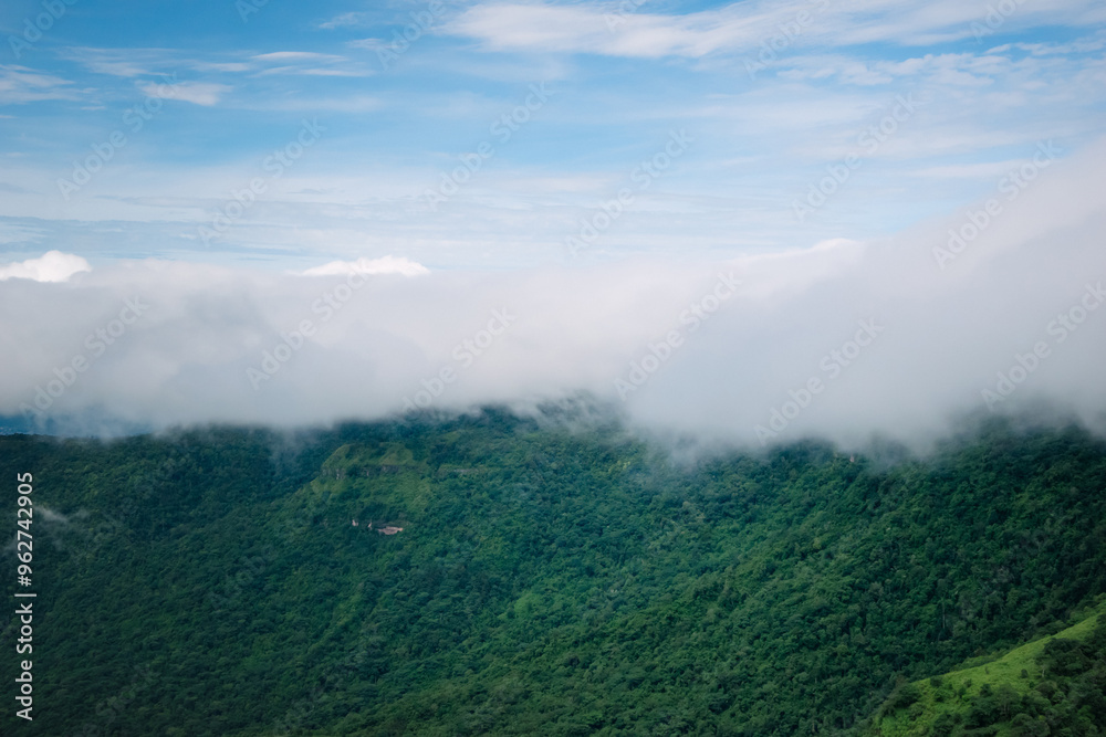 Obraz premium Landscape, fog on the mountain, relaxation and travel