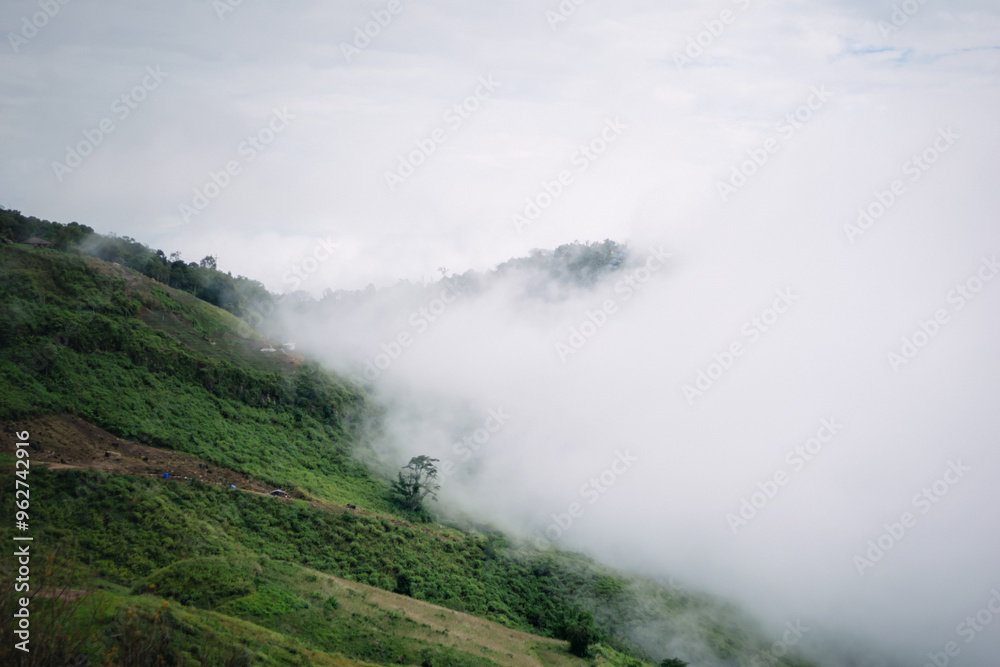 Landscape, fog on the mountain, relaxation and travel Landscape, fog on the mountain, relaxation and travel