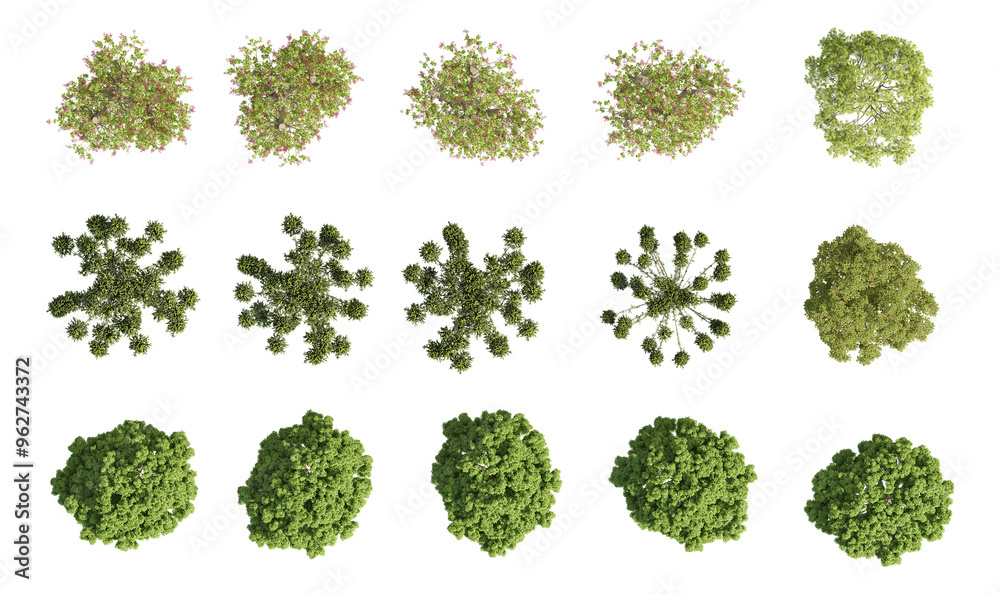 Obraz premium set of trees rendered from the top view, 3D illustration, for digital composition, illustration, 2D plans, architecture visualization