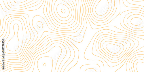 Abstract wave paper curved reliefs background .gradient multicolor wave curve lines banner background design .topographic contours map background .Vector geographic contour map.	