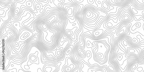 White topography topology vector white background fresh contour map texture backdrop digital print texture terrain lines and strokes on a fresh white 