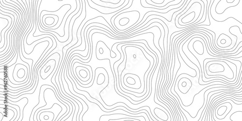 White topography topology vector white background fresh contour map texture backdrop digital print texture terrain lines and strokes on a fresh white 